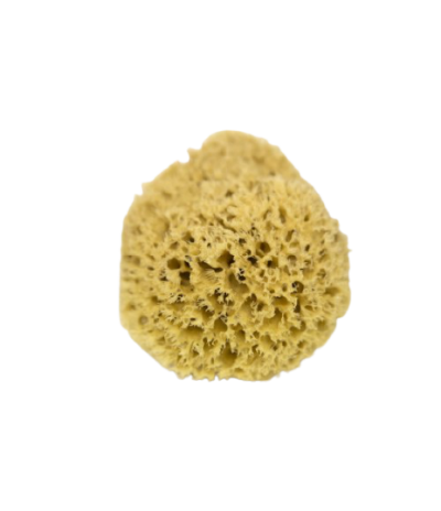 honeycomb-sponge