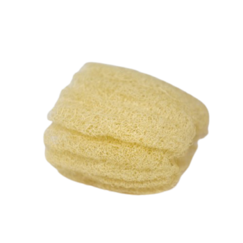 luffa-small-sponge