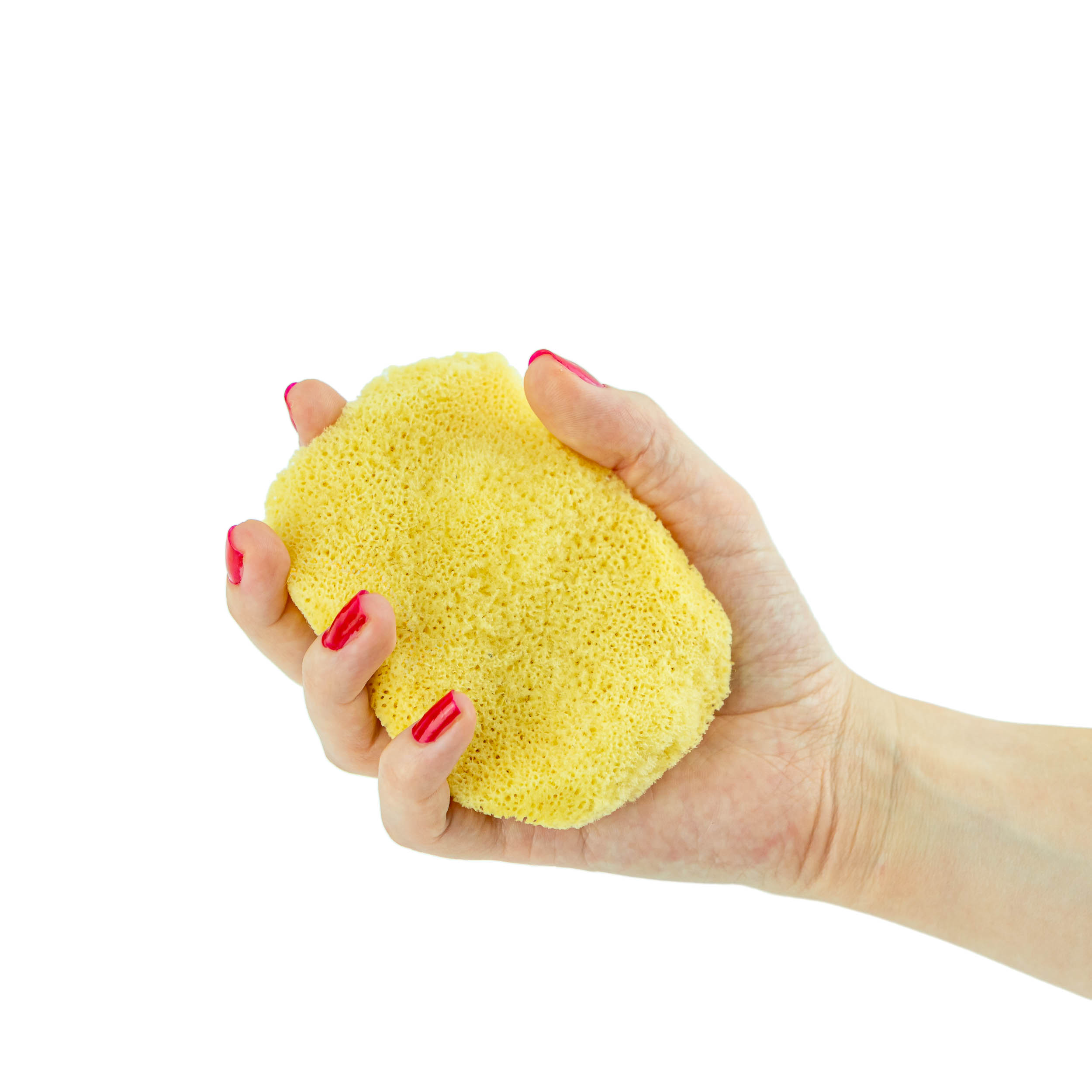 Manella Sponge LAMMELLA SPONGE (SPONGIA OFFICINALIS MEDITTERANEA) - Thelandofcorfu
